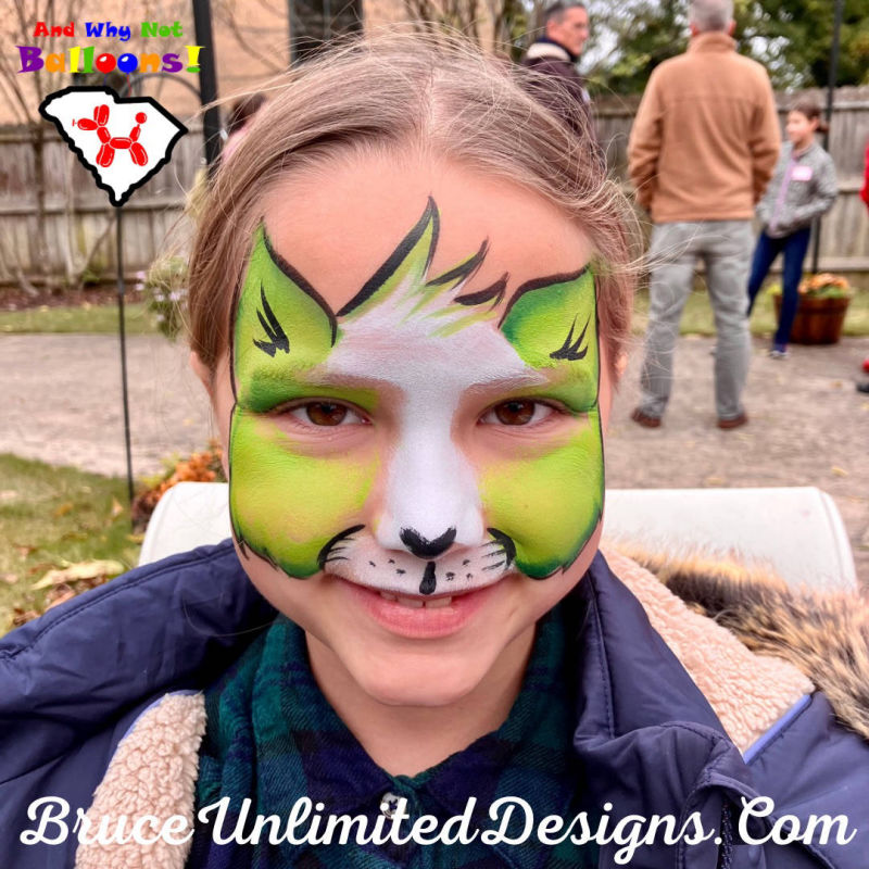 Bruce Unlimited Designs face painting party greer sc