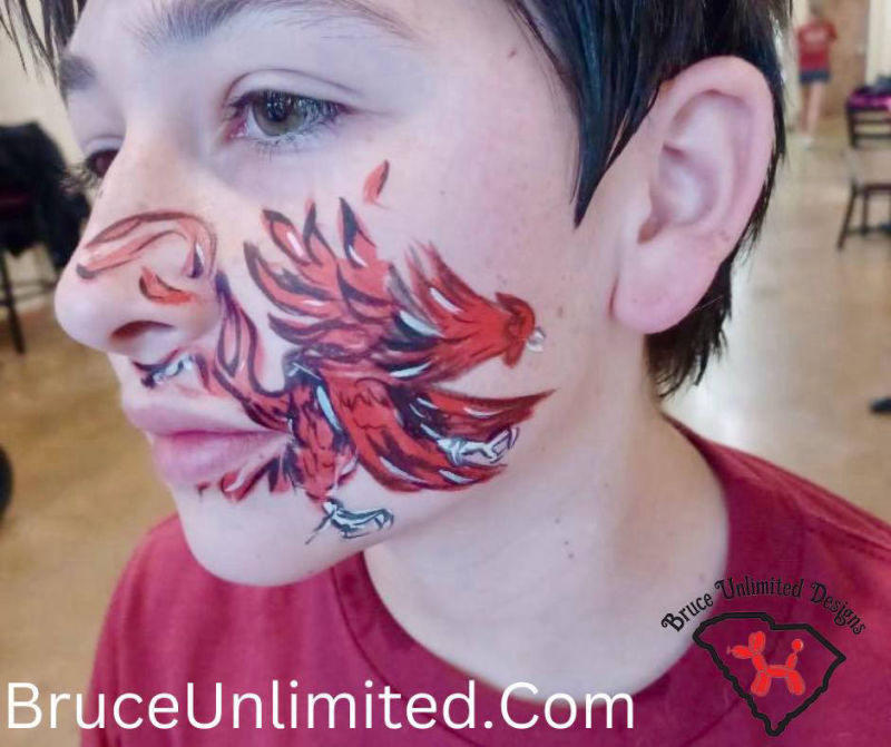 bruce unlimited designs face painting usc gamecocks design party duncan sc
